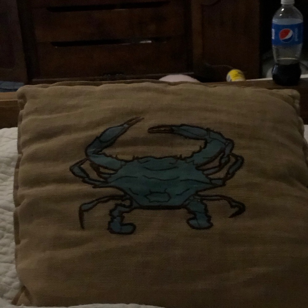Pillows - Picture 2 of 3